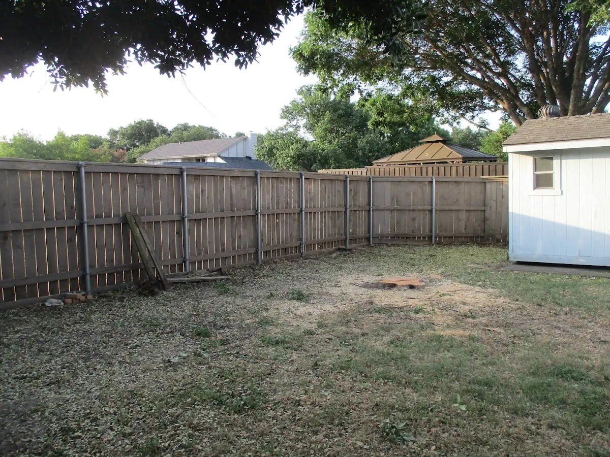Cleared yard after professional tree removal in Melvin